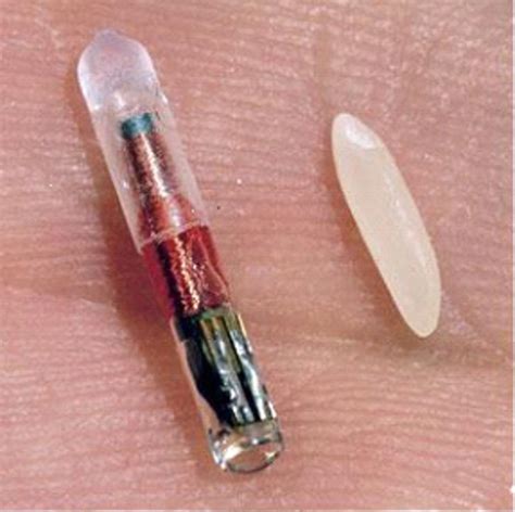 rfid chip in a kid|rfid microchip implant.